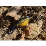 ANACONDA Beauty Carp Opener Sörnyitó