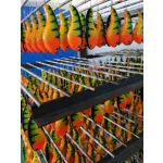 Frenetic FatFish 60gr 81 mm