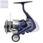 Daiwa 24 TDR 4012 QD Feeder Orsó