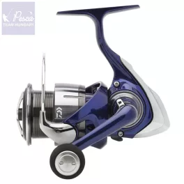 Daiwa 24 TDR 4012 QD Feeder Orsó