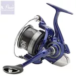 Daiwa 23 TDR Distance 25QD Feeder Orsó
