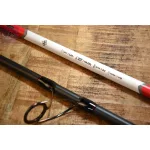 CARP EXPERT RIVER FEEDER BOT 3,90m 120-250gr