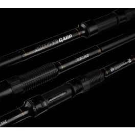 Nevis Motive Carp 3,60m 3,00lbs 