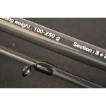 CARP EXPERT HARD RIVER FEEDER BOT 3,60m 100-250gr