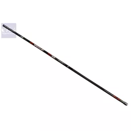 CARP EXPERT SPECIALIST SPICCBOT