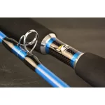 Wizard Cat Pro Power harcsázó bot 3,00m 800-1000gr