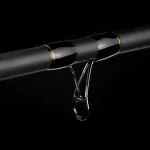 Nevis Motive Carp Match 3,60m 30gr