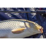 Nevis Method Carp Feeder 360XH 50-140gr