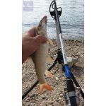 By Döme TF Big River 300 RXH 100-250gr