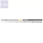 Nevis Powercat XT 2,70m  200-400gr