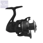 Ryobi Caspro 4000 SP 