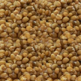 Mosella Prémium Főtt Búza 1kg