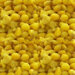 Mosella Prémium Főtt Kukorica Natúr 3kg