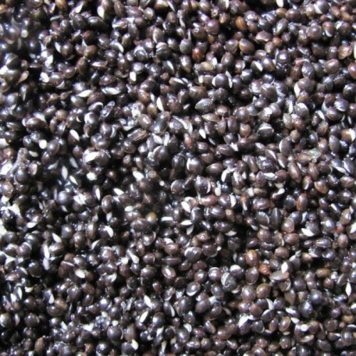 Mosella Prémium Főtt Kender 800gr