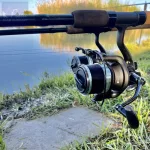 Nevis Primus Feeder 6000