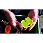 Cralusso Yellow SHELL Method Quick Charger Gyorstöltő