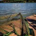 Carp Academy Bojlis Merítőfej 100x100cm (zöld)