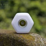 Reiva Bivy Tábori lámpa