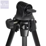 Carp Academy Grizzly Pro Rod Pod