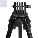 Carp Academy Grizzly Pro Rod Pod