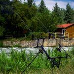 CARP ACADEMY Raptor Rod Pod