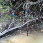 Carp Academy Sensor Swinger 4db-os