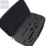 Carp Academy Motive Swinger szett