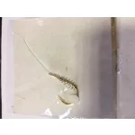 Mosella Előkötött Paszta Horog Spirállal
