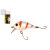 Wizard Chubby Crank wobbler 4cm 004