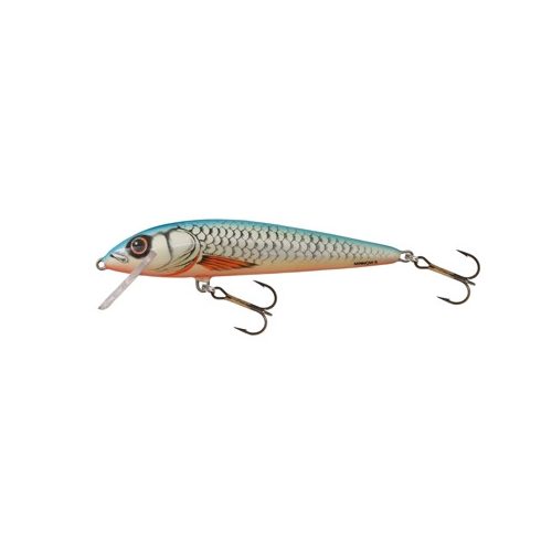 Salmo Minnow M6F DB 6cm