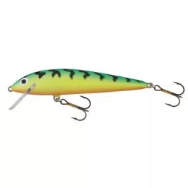 Salmo Minnow M6F GT 6cm