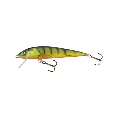 Salmo Minnow M6F HP 6cm