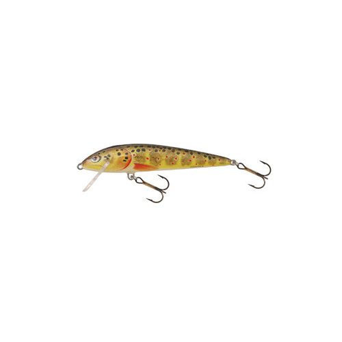 Salmo Minnow M6F T 6cm