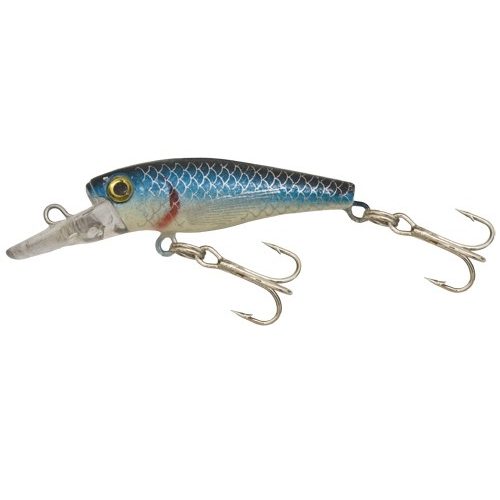 Kamasaki Wobbler Perch Kék Hát, Ezüst Has