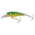 Kamasaki Wobbler Perch Zöld Hát, Sárga Has