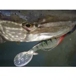 Nevis Twister Shad Vantage 9cm /Classic White/ 3db/csomag