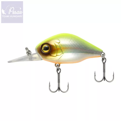 Reiva Chubby Special 45 Silver SFC