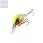 Reiva Chubby Special 45 Silver SFC