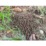 AQUA Garant Classic Pellet 6mm 25 kg