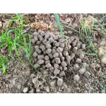 AQUA Garant Classic Pellet 9mm 25 kg