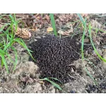 AQUA Garant Uni Pellet 2mm 25 kg