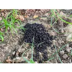 AQUA Garant Uni Pellet 4mm 25 kg