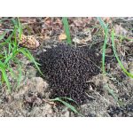 AQUA Garant Wels Swim Harcsa Lebegő Pellet 3mm 20kg