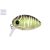 Carp Zoom Predator Z UL Bug wobbler