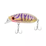 Carp Zoom Predator Z Beetle Wobbler