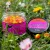 Feedermánia WAFTERS TWISTED BOILIES & BARRELS MANGO