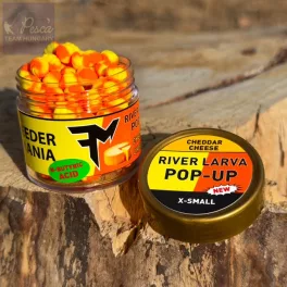 Feedermánia River Larva Pop-Up Cheddar Cheese -  XS  30gr