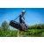 Guru Team Guru XL Carryall