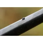Guru Micro Shot Sörét Ólom No.8 0,06gr