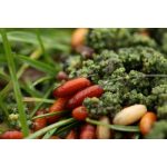 Guru Super LWGS Hook Lapkás Szakálnélküli Horog